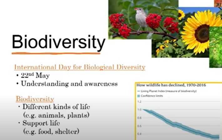 中野から世界へ – 第9回グローバル教育発表会 開催しました!