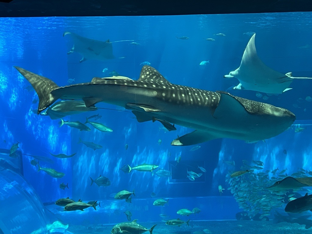 2023年度Global Study Tour 3日目 5月11日(木)