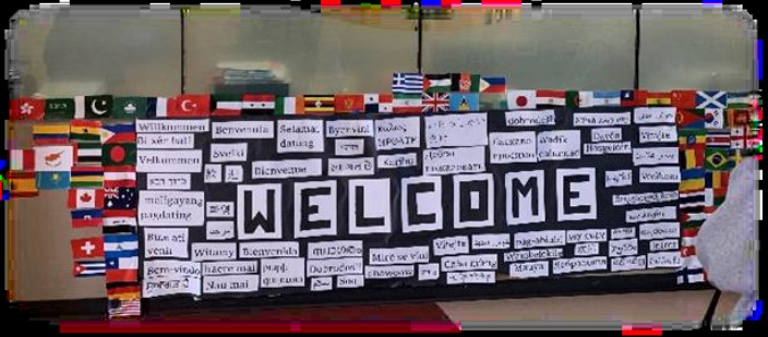 From Ireland & Canada – Study Abroad Reports – Getting into the Final