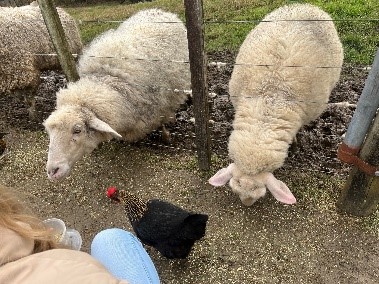 From NZ – New one-year study abroad has started!