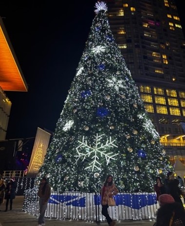 From USA, Canada & NZ 1年留学レポート update in November!