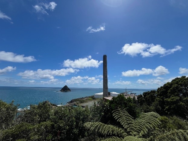 From USA, Canada & NZ 1年留学レポート update in Feb.