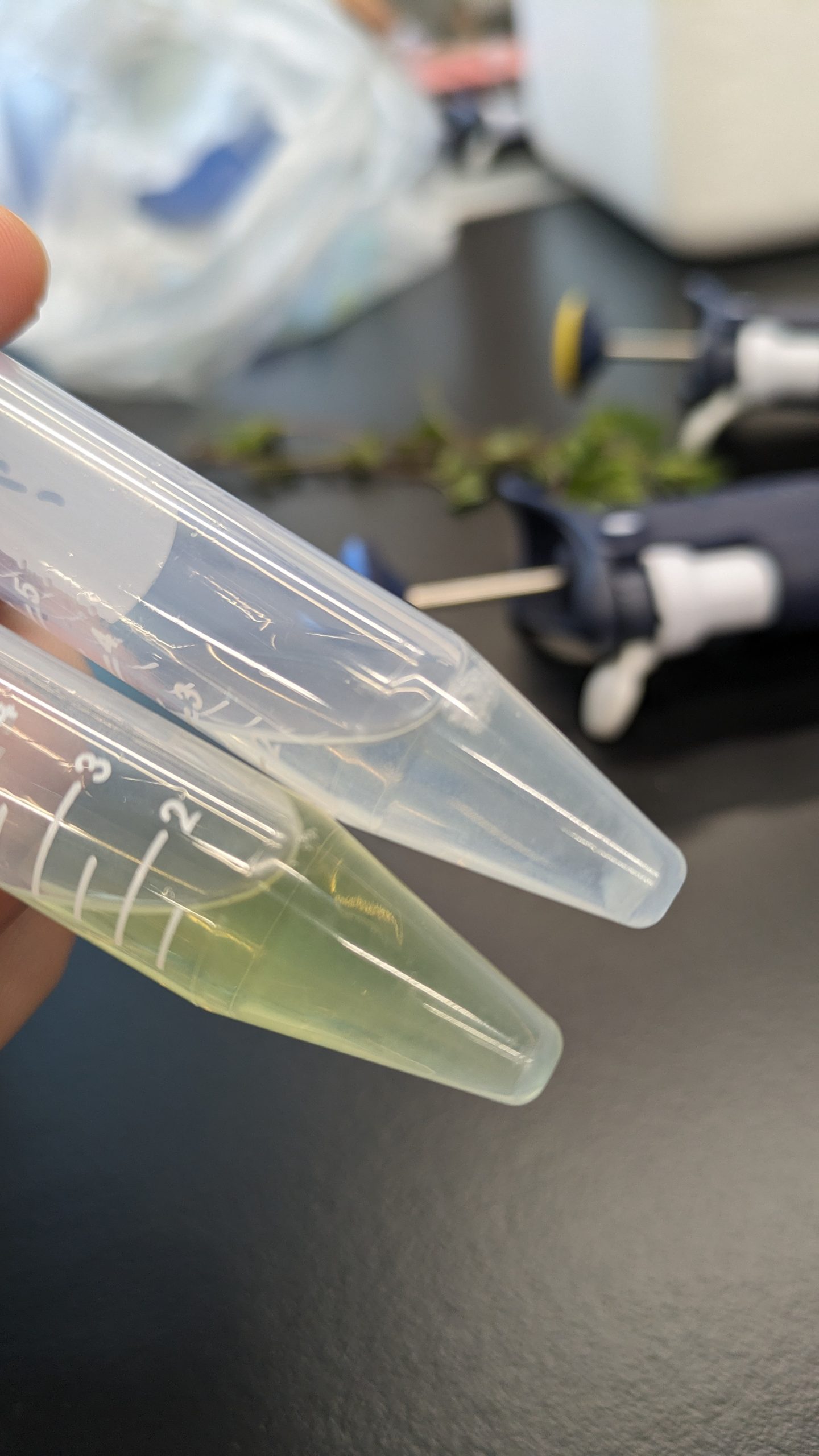 ICU 国際基督教大学主催 Science Café at ICU＠対面 ICU Campus にチャレンジ!