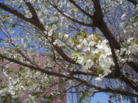 広報委員会だより～２０２４／０３～