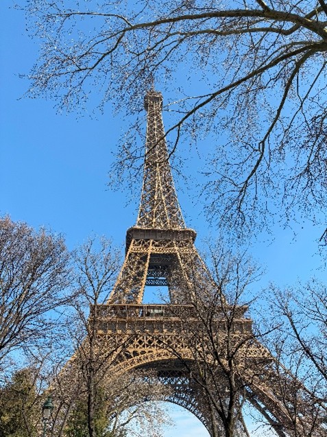 フランス1年留学レポート_複言語・フランス語教育校の取り組み